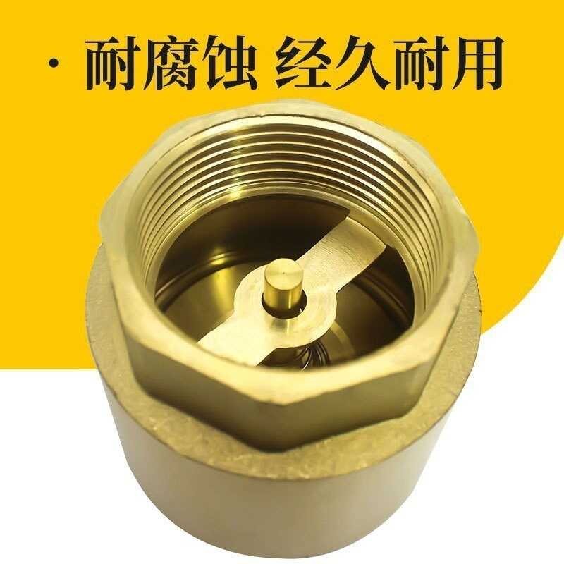 Brass Vertical B Spring Type One-Way Pipe Threaded Water Check Valve 1/ ...