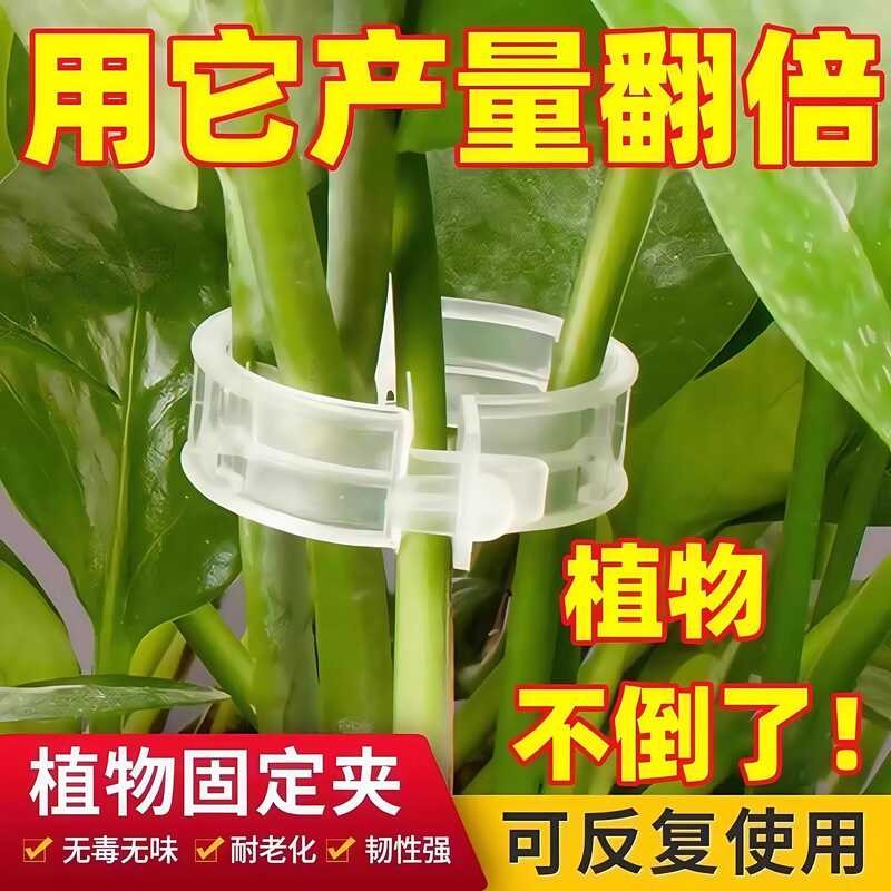 Green Tree Plant Fixed Buckle Vine Fixer Climbing Support Rod Fruit and ...