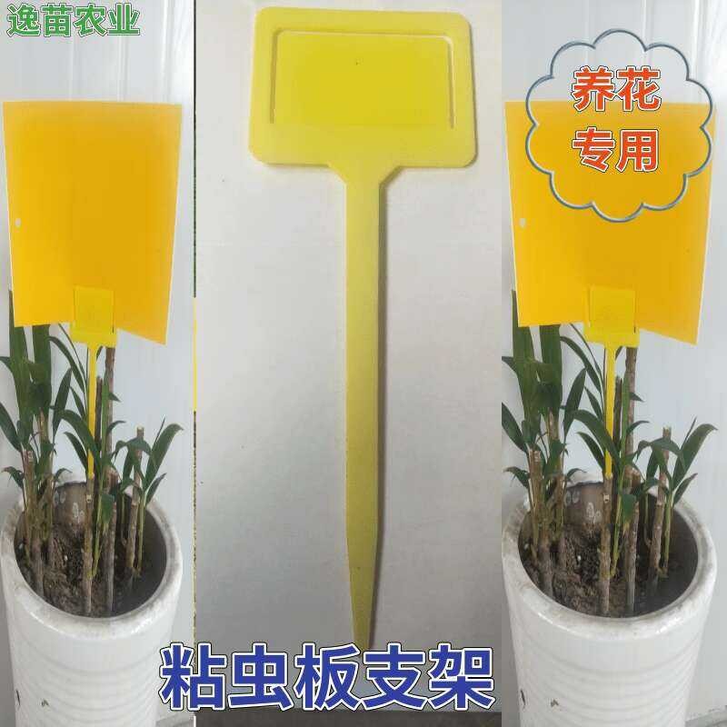 Sticky Blue Yellow Small Flying Aphid Insect Trap Board Support Stand ...