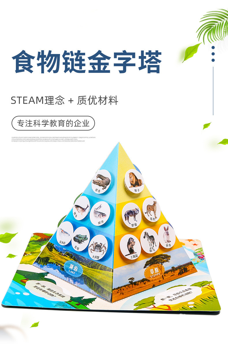 Science Experiment Food Chain Pyramid diy Technology Small Production ...