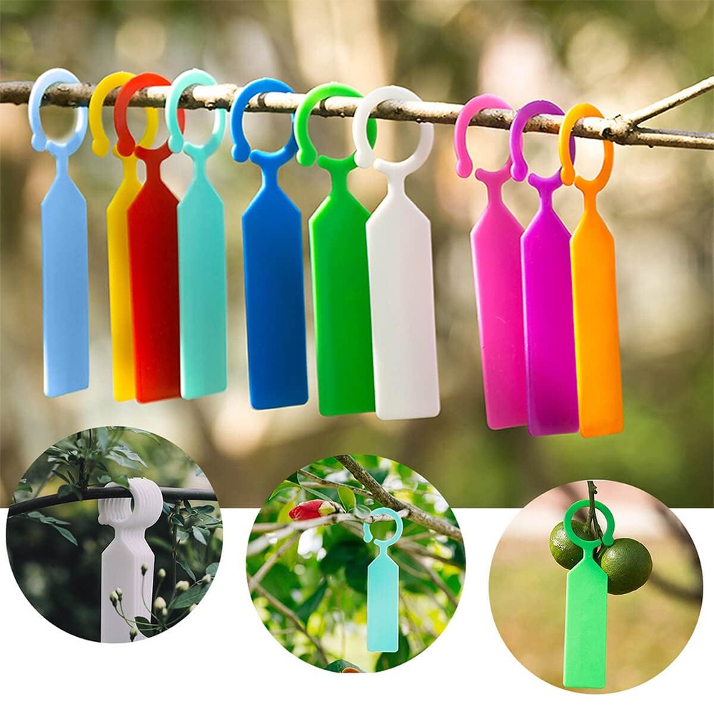 Plastic Plant Labels 10 Colors Garden Planting Tags Ring Hook Tree ...