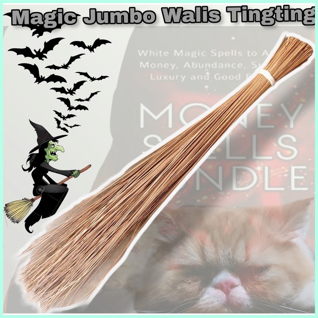 Lola Basyangs Original Magic Walis Tingting and WITCHES 5 FEET BROOM ...