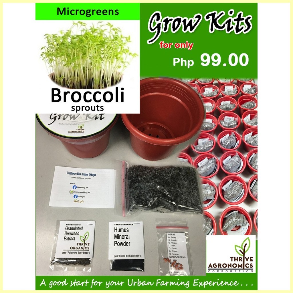 ℨ Broccoli Sprout Microgreens Grow Kit Seedling Kit Starter Kit ...