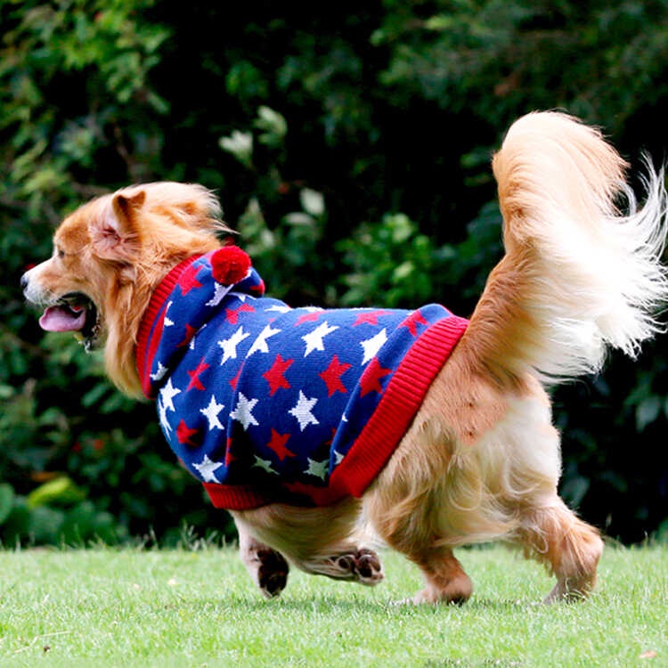 Strip bituin malaking Pet aso kroket kutsilyo Sweater damit amerikana ...