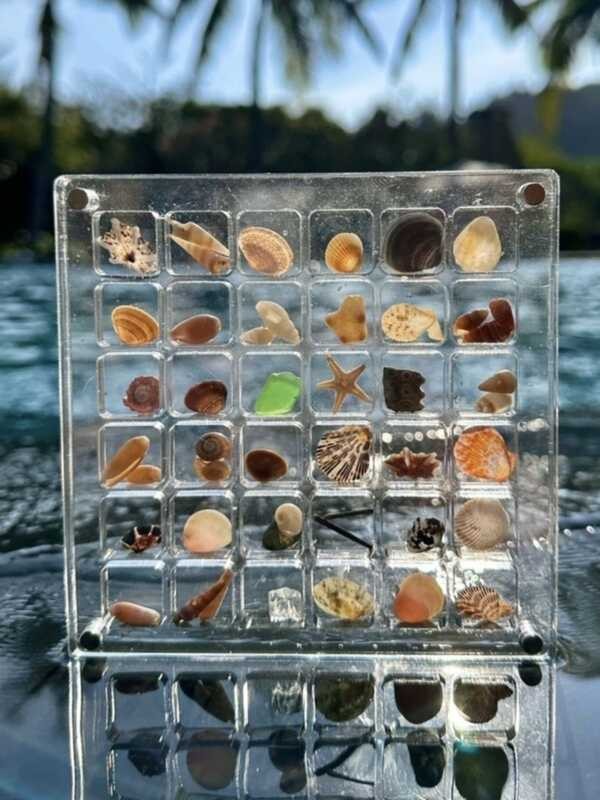 Shell storage box acrylic square transparent seaside micro stone ...