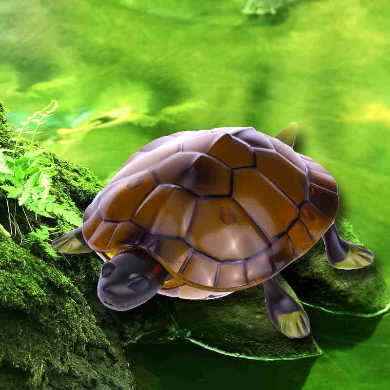 Sea Life Model Infred Remote Control Tortoise Simulation Cute Electric