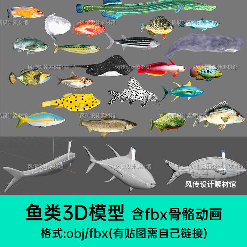 3D model of marine fish, underwater organisms, marine fish C4D with ...