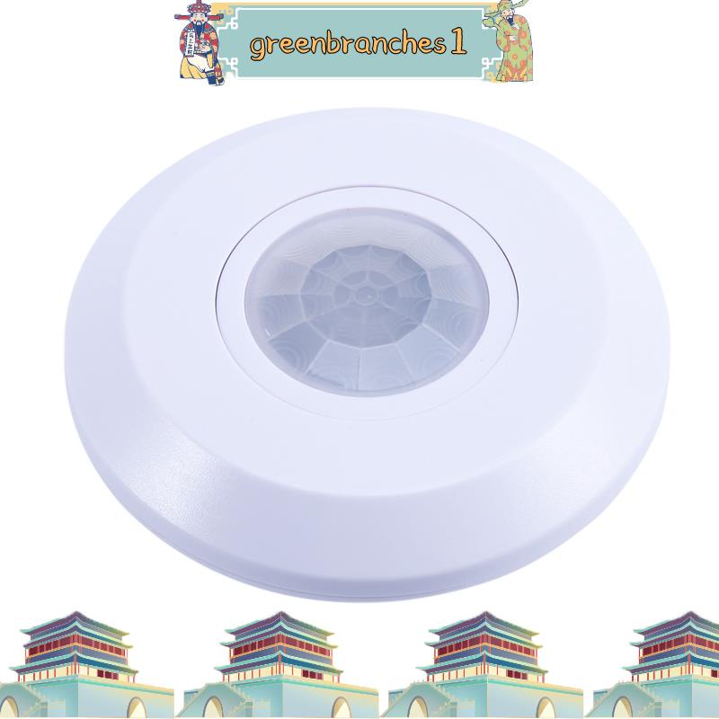 110220V Ceiling PIR Motion Sensor Light Switch Adjust Time Delay Light