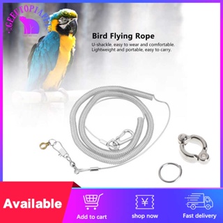 Bird Harness Adjustable Parrot Leash Harness Training Rope Flying Band Bird  Rope Outdoor Training Long Rope Belt Walking Lead