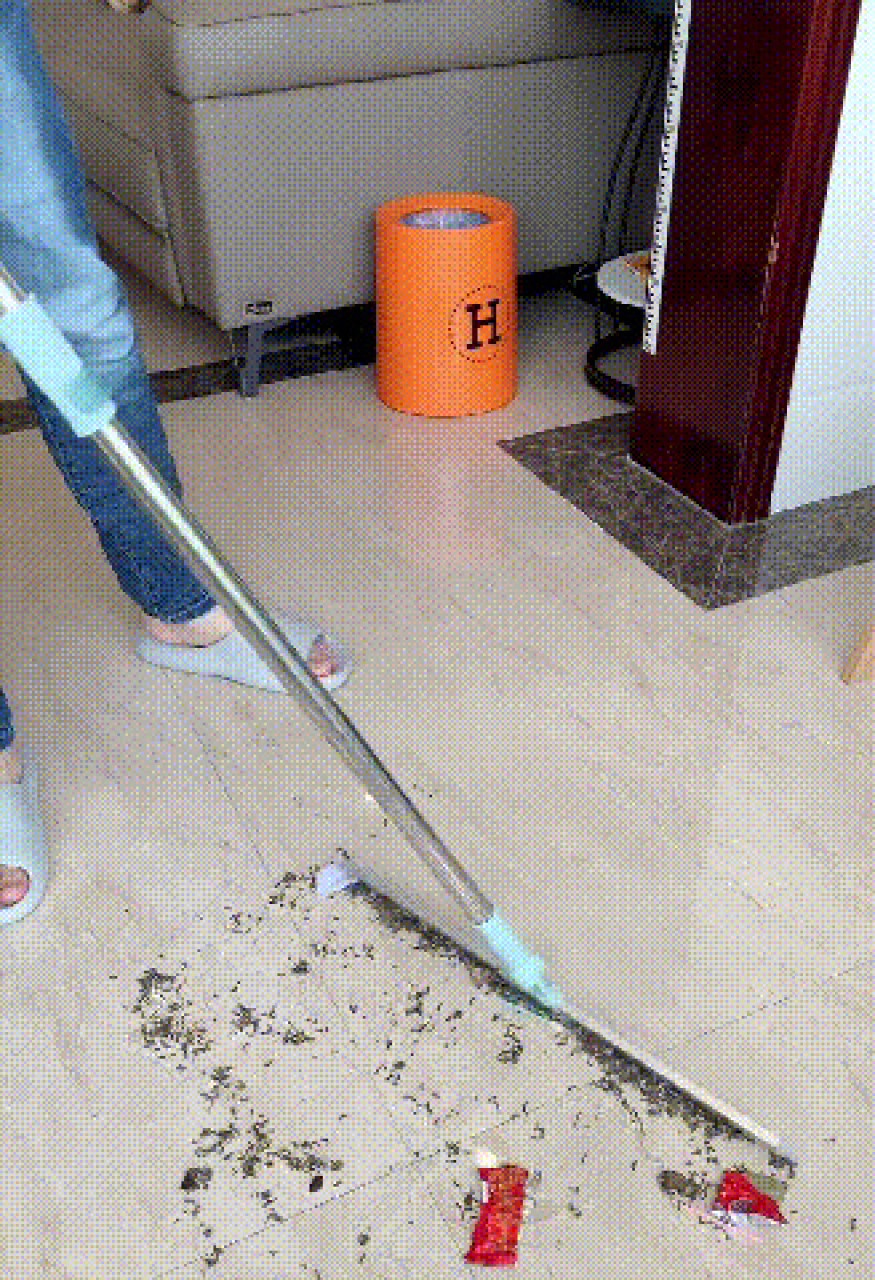 Effortless Sweeping/Quick Clean Magic Broom/Floor Scrubber/Dust Mop ...