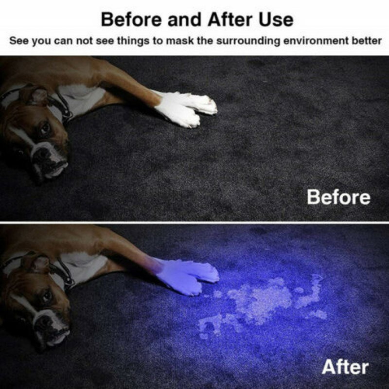 Portable USB Rechargeable Flashlight / UV365 Ultraviolet Handheld ...