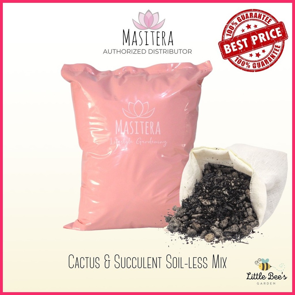 ۞ § Masitera Cactus & Succulent Soil less Potting Mix 3kg [Little Bee's ...