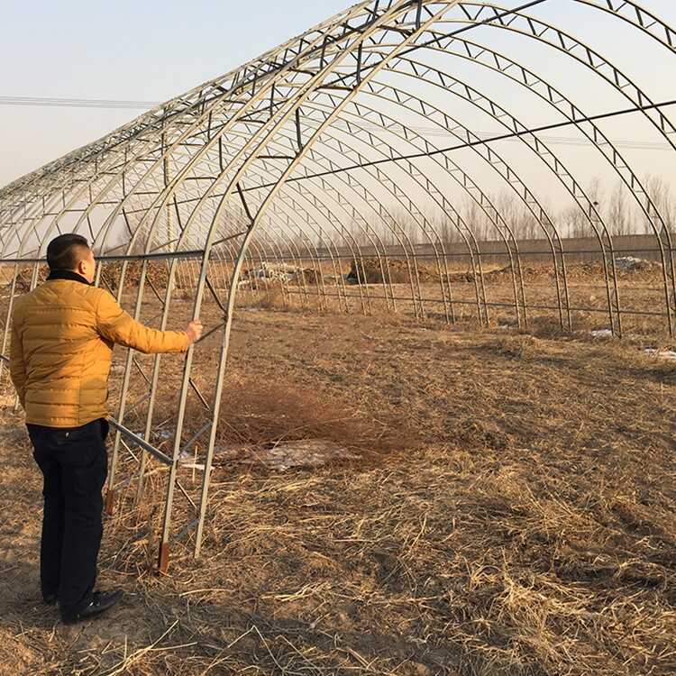 Pelikula Doble Layer Agrikultura 4 Na Panahon Ng Double Truss Hot Steel ...