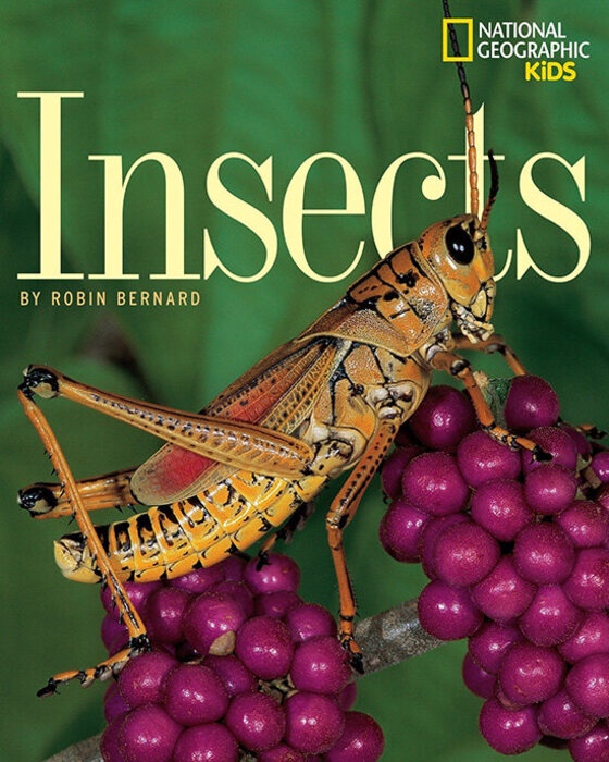 milu Insects Picture Book Children's Popular Science | Shopee Philippines