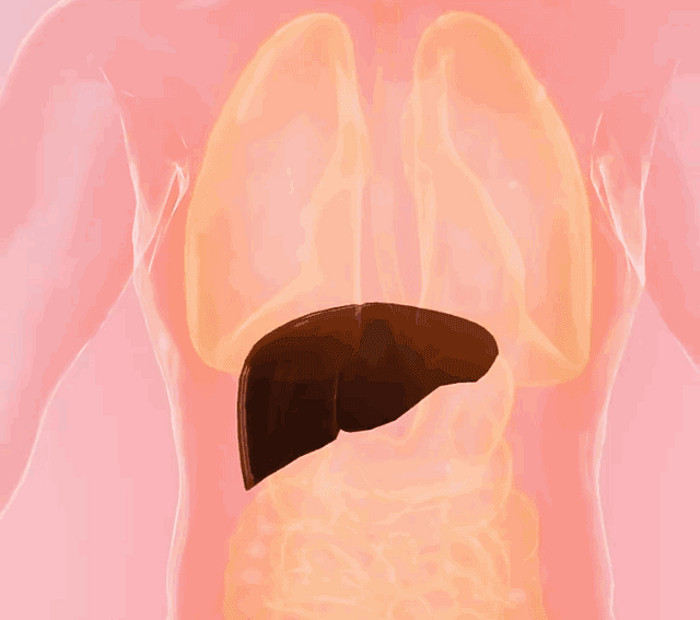Liver Patch Stay Up Late Drinking Bad Breath Soothing Liver Fire Bitter ...