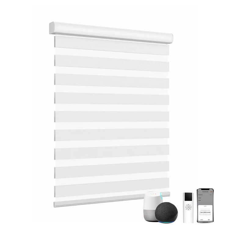 Easy Fix Remote Control Zebra Roller Motorized Day And Night Blinds ...