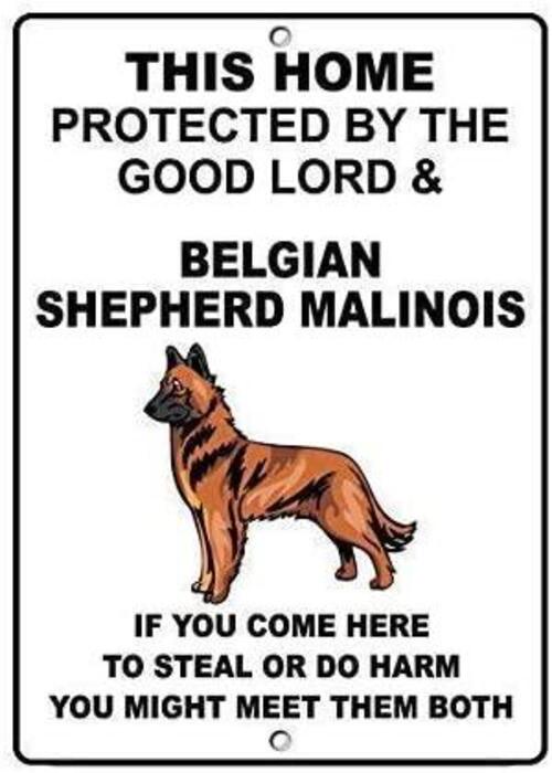 INGA Belgio Pastore Malinois Dog Home Protected By Good Warning