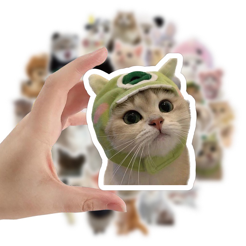 60PCS Cute Kittens Cats MEME Waterproof Stickers For Notebook Laptop ...