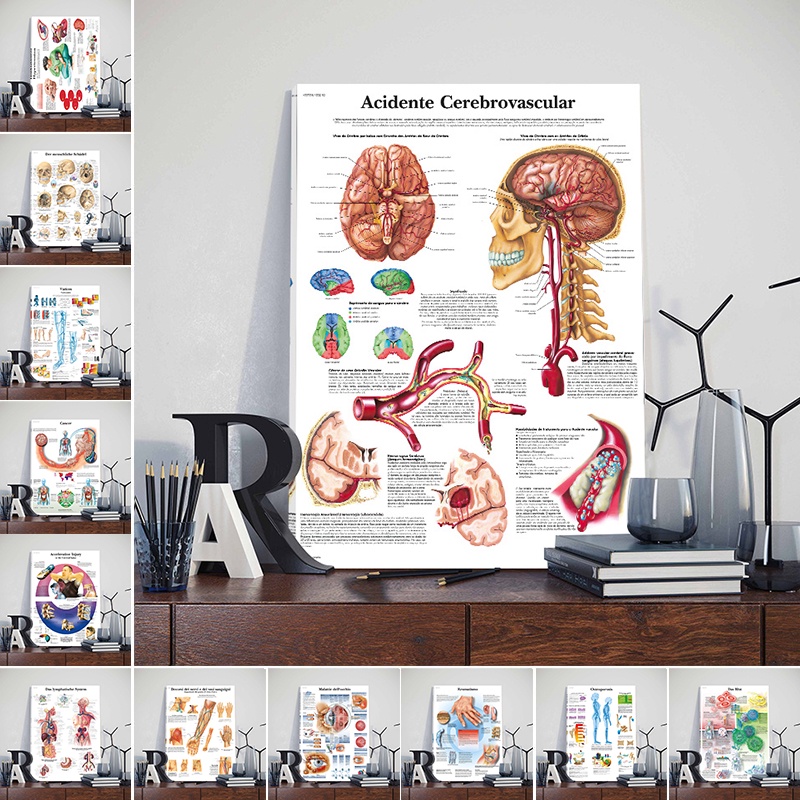 Large Size Muscular System Posters Body Anatomy Chart Human Wall Art ...