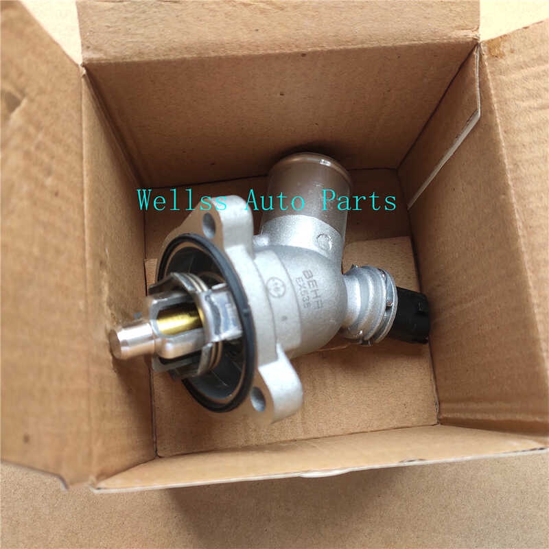 Orihinal Na Engine Coolant Thermostat Assembly Oem 25199831 96988257
