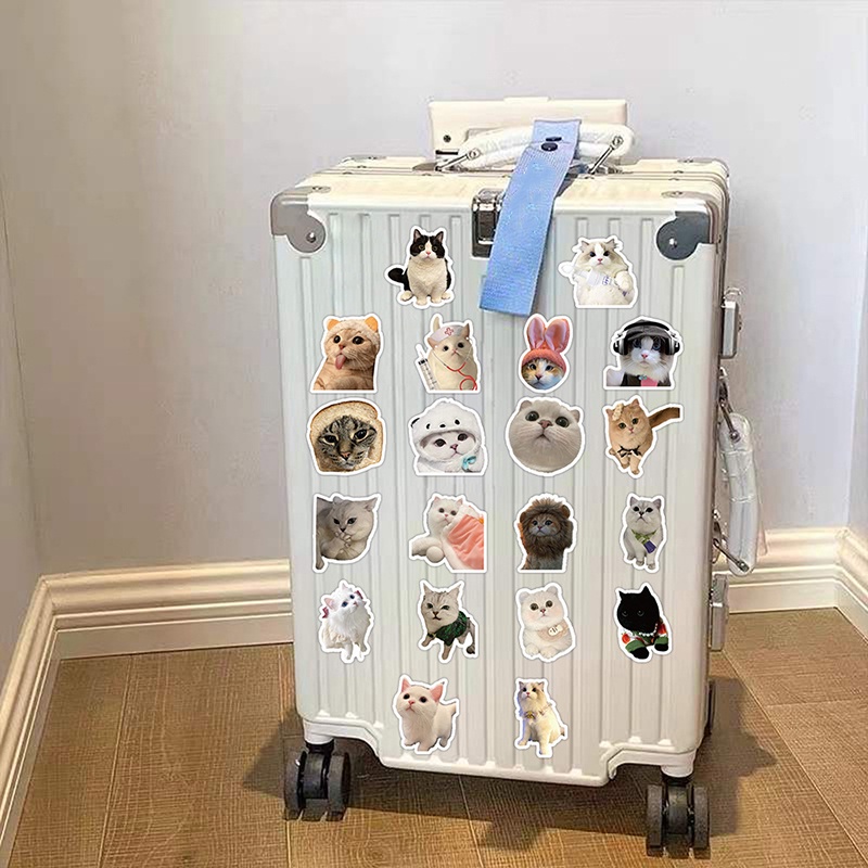 60PCS Cute Kittens Cats MEME Waterproof Stickers For Notebook Laptop ...