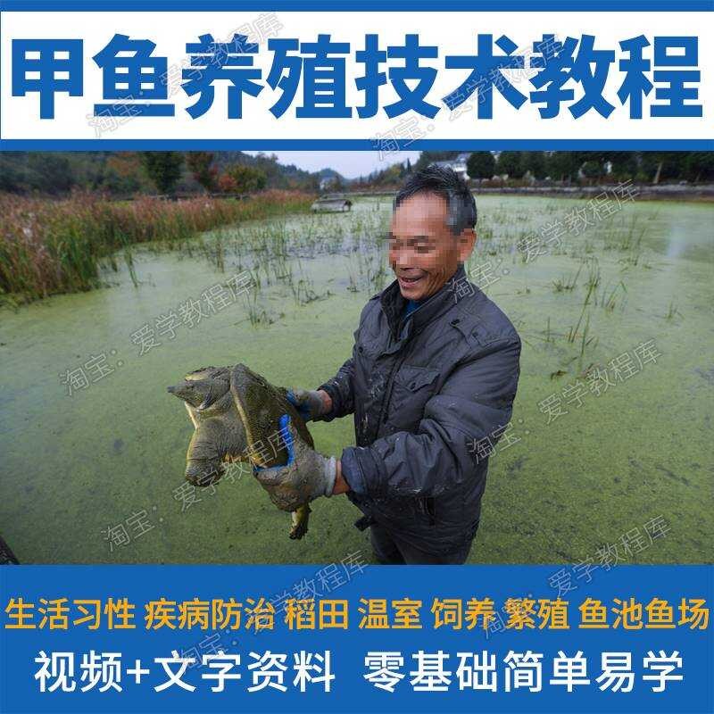 Course of Turtle Culture Techniques Artificial Turtle Culture in Paddy ...