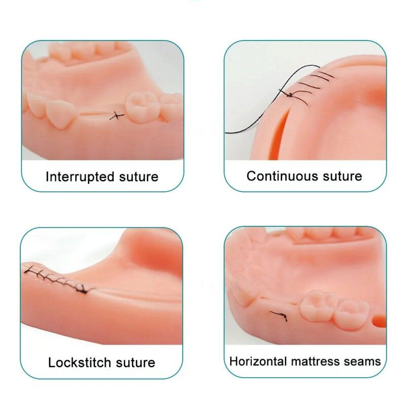 Dental Oral/Gingival Suture Module Oral Suture Model For Medical ...
