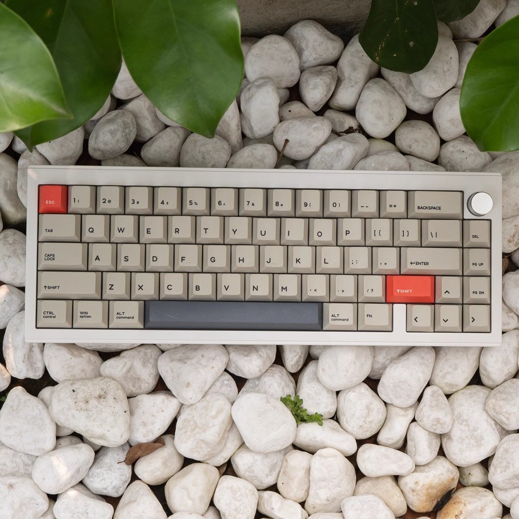 V65 V2 Dual Model Hot Swap Mechanical Keyboard 65% Gasket Mount Gaming ...