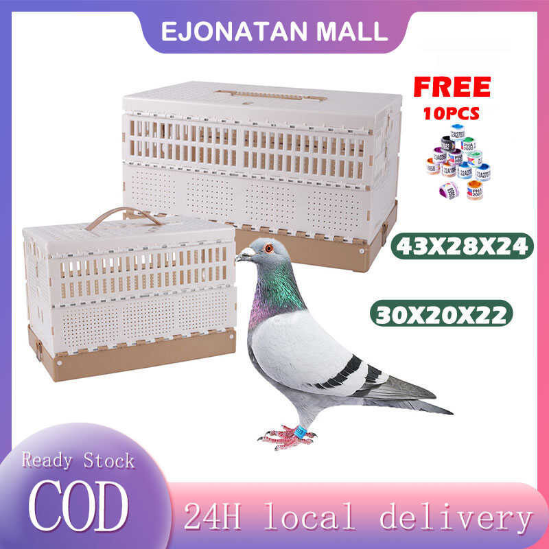 Plastic Folding Pigeon Cage Pigeon Training Box for Pigeon Bird Travel