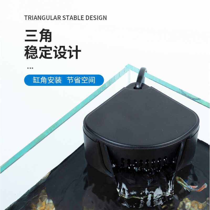 Letitia Ang tangke ng isda ay kinakailangan sa paggawa ng filter ...