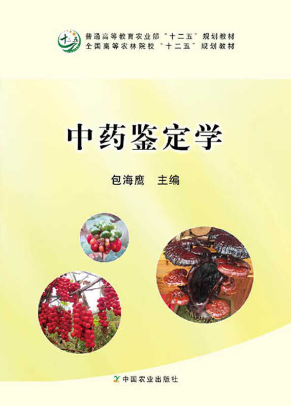Traditional identification project in China | Shopee Philippines