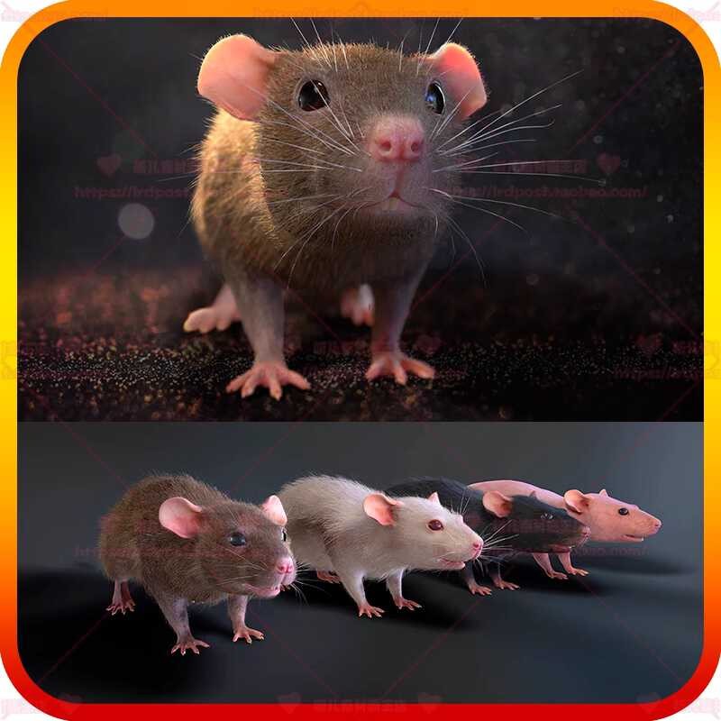 UE5 Unreal 5.1.1 Mouse Realistic Mouse Game Characters with Animation 5 ...