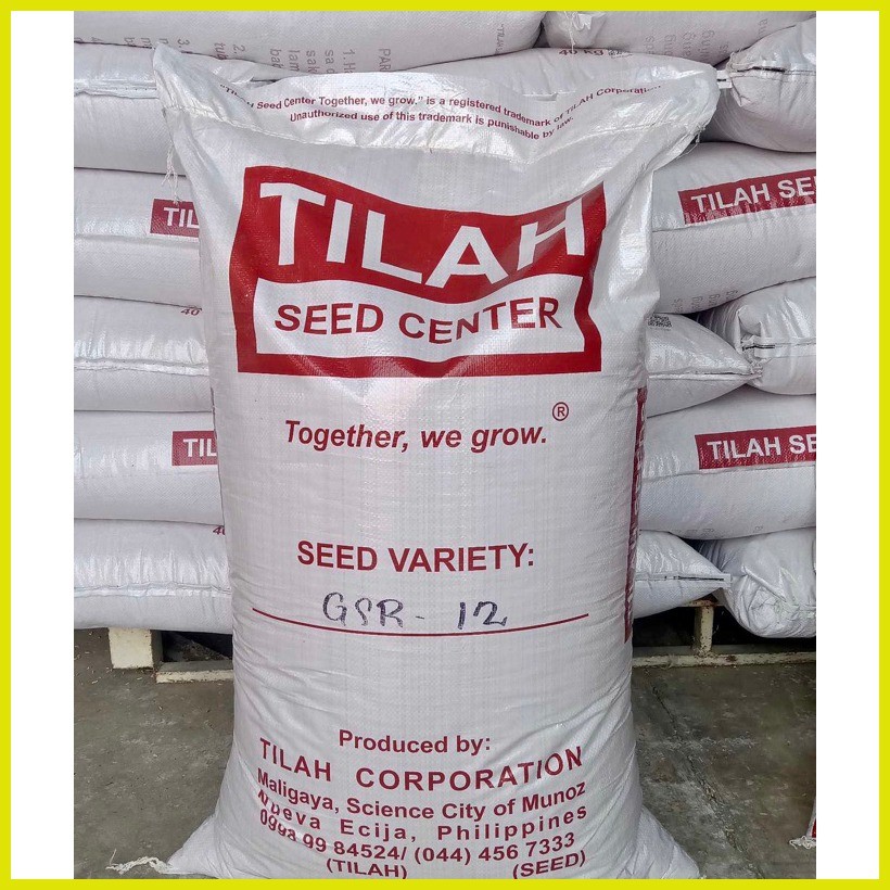 Palay Seeds Binhing Palay Rice Seeds authorized dealer of Tilah Seeds ...