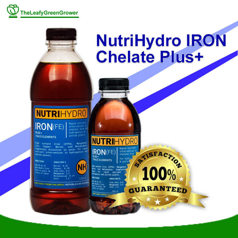 NutriHydro IRON Chelate Plus ( 500mL | 1000mL ) | Rapid Intervention ...