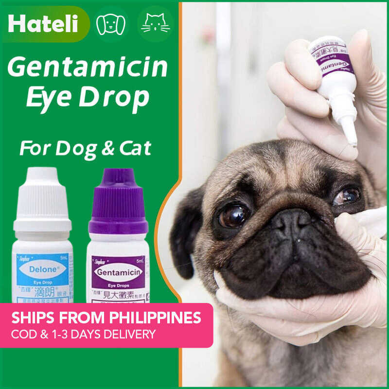 Gentamicin Eye Drops For Pets Cat and Dogs and Eye Infection Remove