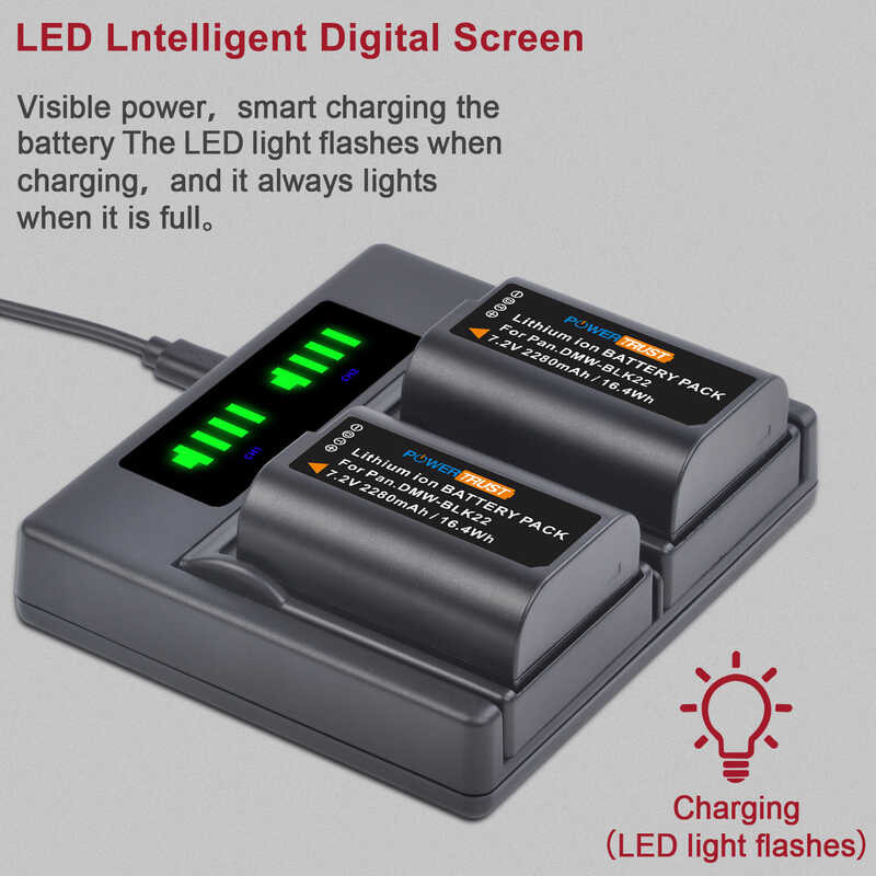 DMW-BLK22 2280mAh 7.2V DMW BLK22 DMWBLK22 Battery and Dual Charger for ...