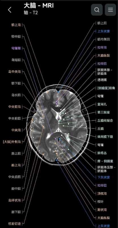 Professional imaging anatomical atlas learning software | Shopee ...