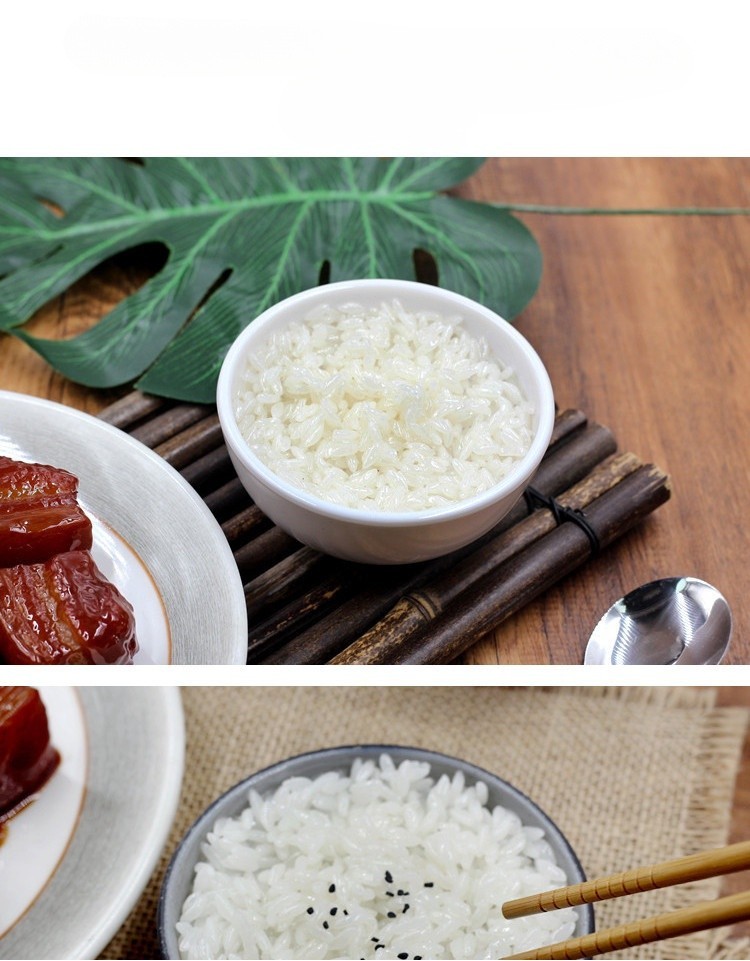 Artificial Steamed Rice with Bowl Model Simulated Fake Cooked Rice ...