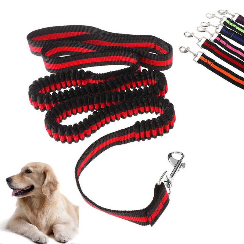 120cm Dog Walking Elastic Bungee Leash Hand Free Dogs Leashes With