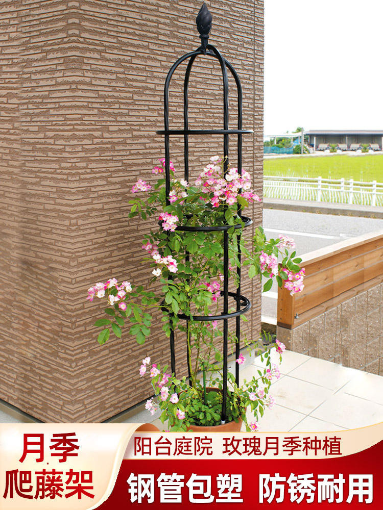 Climbing flower racks/// Flower Stand Climbing Pergola Outdoor Rose