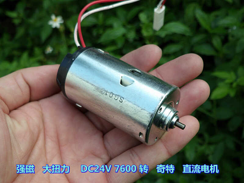 Strong Magnetic, High Torque DC24V 7600 RPM Unique DC Motor | Shopee ...
