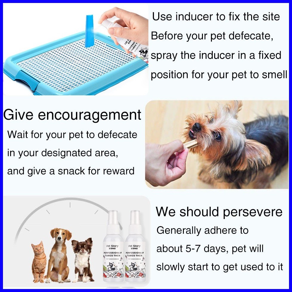 (Per Pack) Pet New Land Pet Training Pad Per Pack Dog Diaper Dog Pee ...