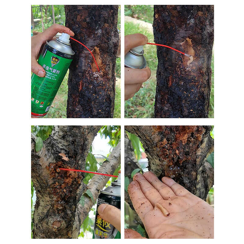 Kill Longhorn Beetle, Standing Dead Aerosol, Fruit Tree Insecticide ...