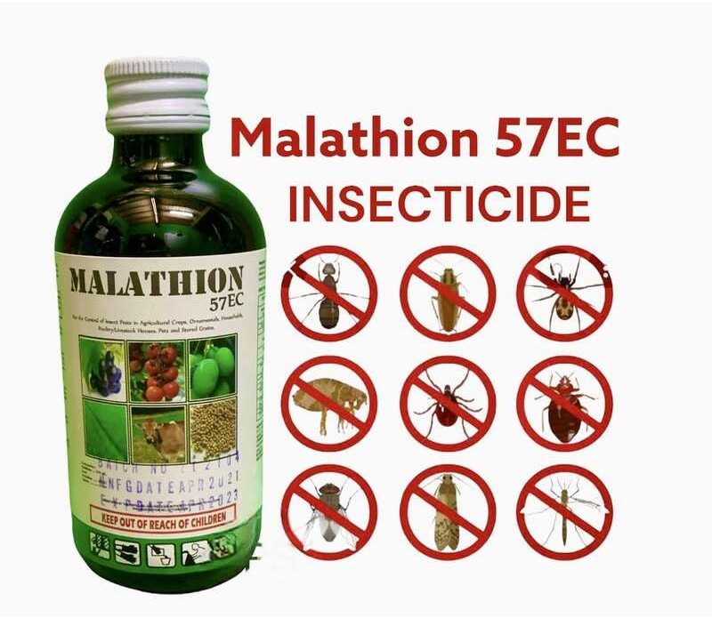 INSECTICIDE MALATHION PESTICIDE HOUSEHOLD USE BED BUGS VEGETABLES PLATS