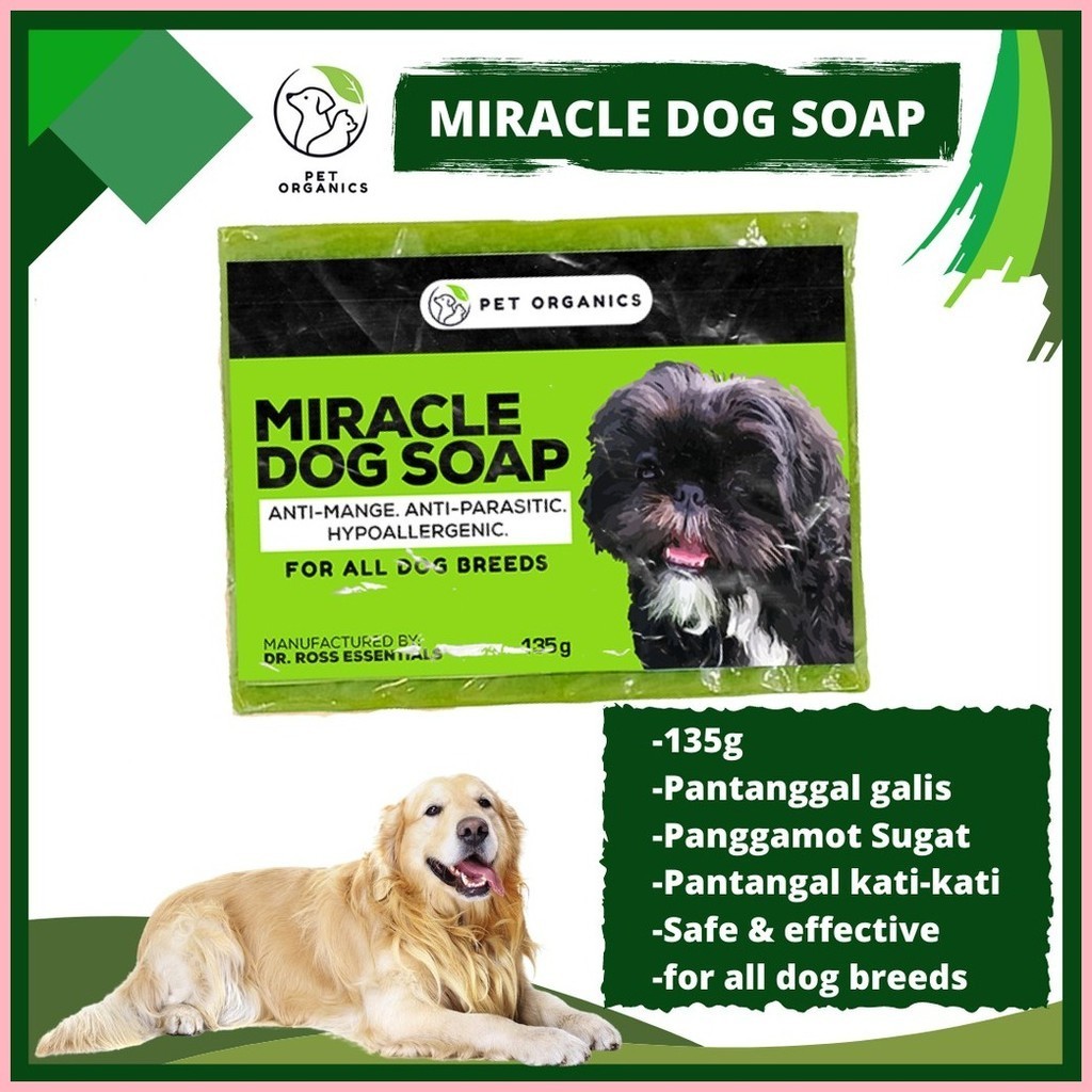 (for All Dog Breeds) 100% Miracle Dog Herbal Soap Best For Anti-mange 