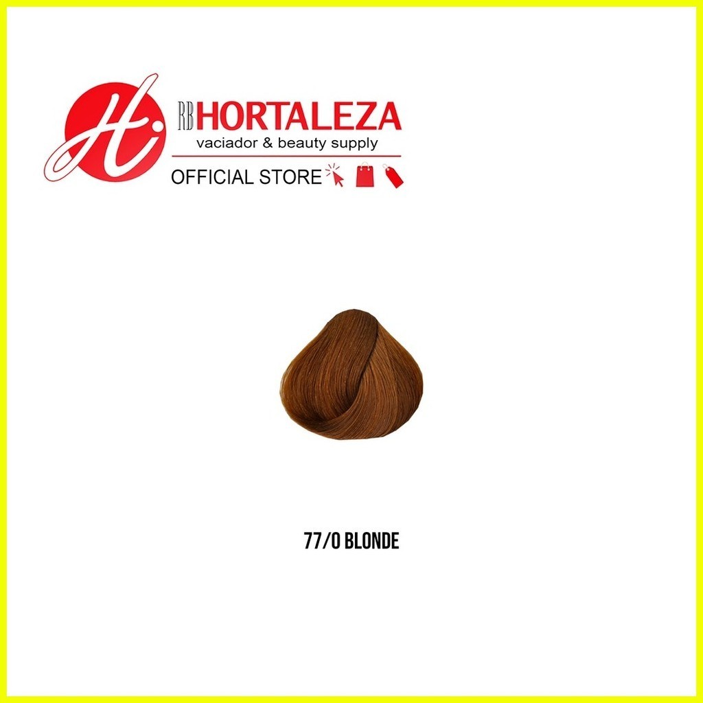 RB Hortaleza Vaciador Online] Ashley Hair Color (100G) Shopee Philippines