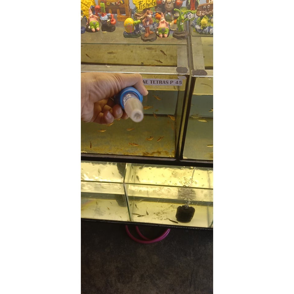 turkey baster for aquarium Shopee Philippines