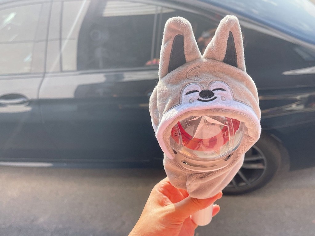Stray Kids SKZOO Felix Seungmin Concert Lamp Cover Doll Cape Hat Plush ...