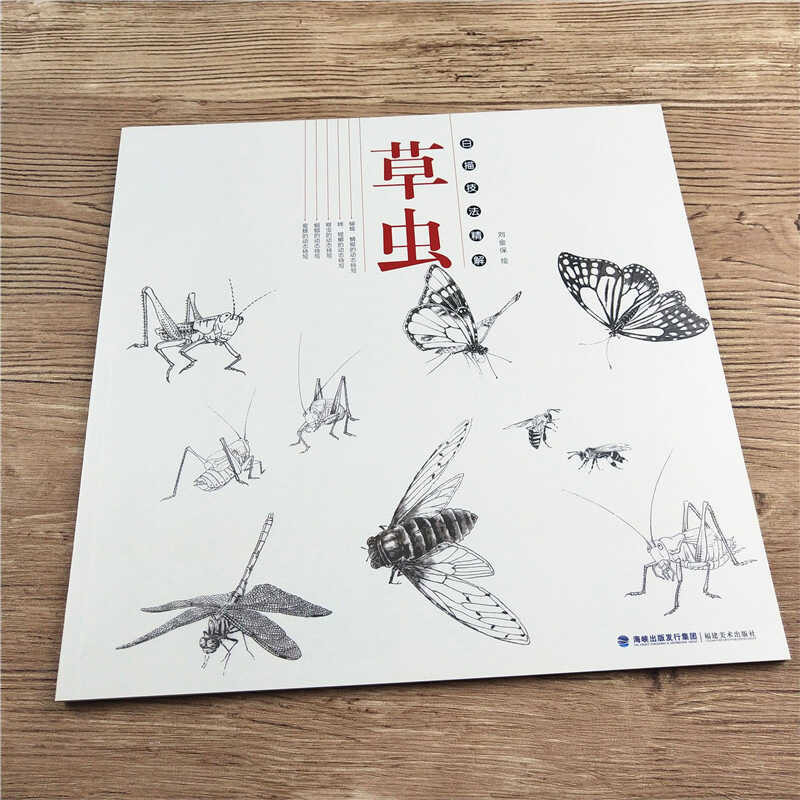 Chinese Grass Insect Painting Flowers And Plants Sketch Book Line ...