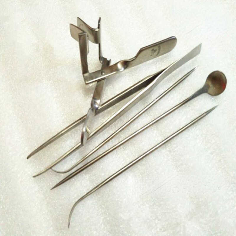 New Type of Chicken Castration Tool Handmade Stainless Steel Castration ...